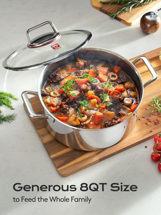 5.5 Quart Stainless Steel Stock Pot With Lid, 6pc